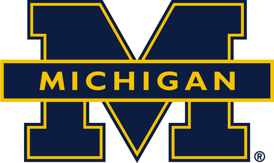 Michigan Wolverines 2016-Pres Secondary Logo v3 diy iron on heat transfer